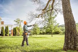 How Our Tree Care Process Works  in  West Samoset, FL